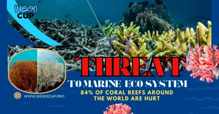 Record-Breaking Global Coral Bleaching Crisis